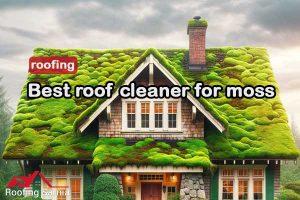 best roof cleaner for moss